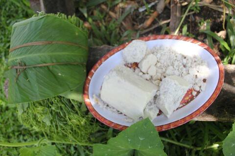 koto hoki pata: hau kenkake pita sokou make yaapoe, / A boundle of greens/veges called "sokoumake" in local venercular and a dish of uncooked sago. koto hoki pata: hau kenkake pita sokou make yaapoe, / A boundle of greens/veges called "sokoumake" in local venercular and a dish of uncooked sago.